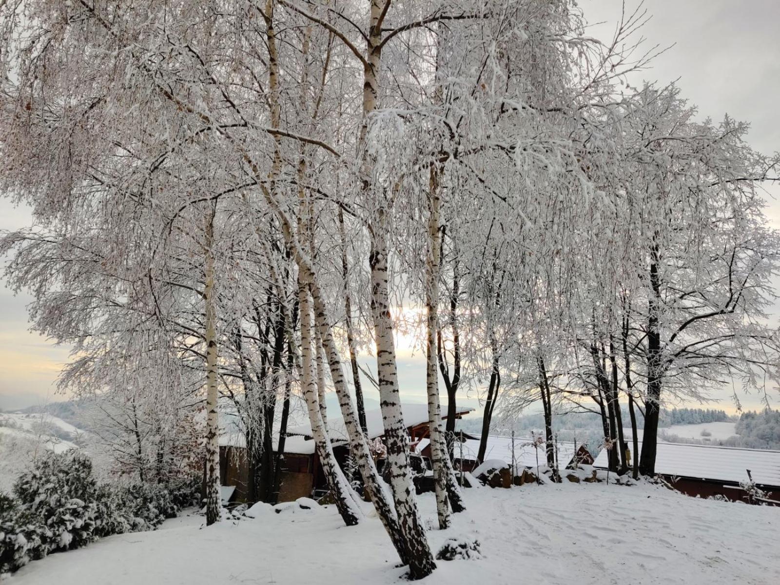 Agroturystyka Faron Rozdziele ภายนอก รูปภาพ