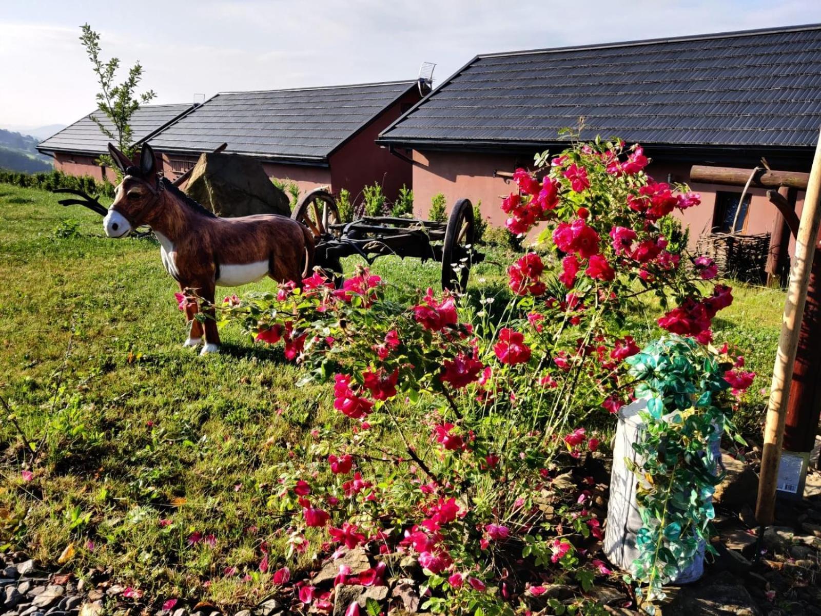 Agroturystyka Faron Rozdziele ภายนอก รูปภาพ